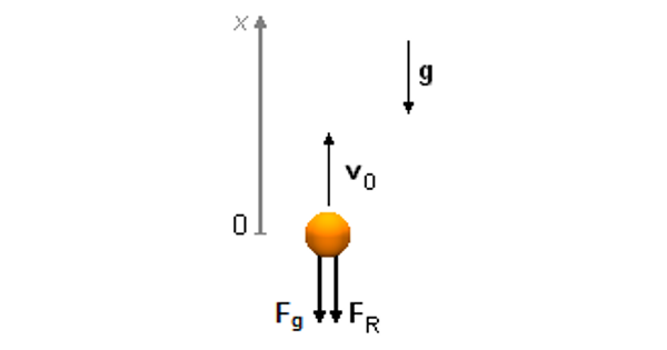 Solved Problem on Dynamics